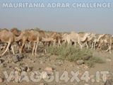 VIAGGI 4X4 IN MAURITANIA