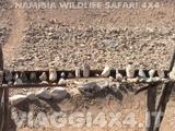 VIAGGI 4X4 IN NAMIBIA